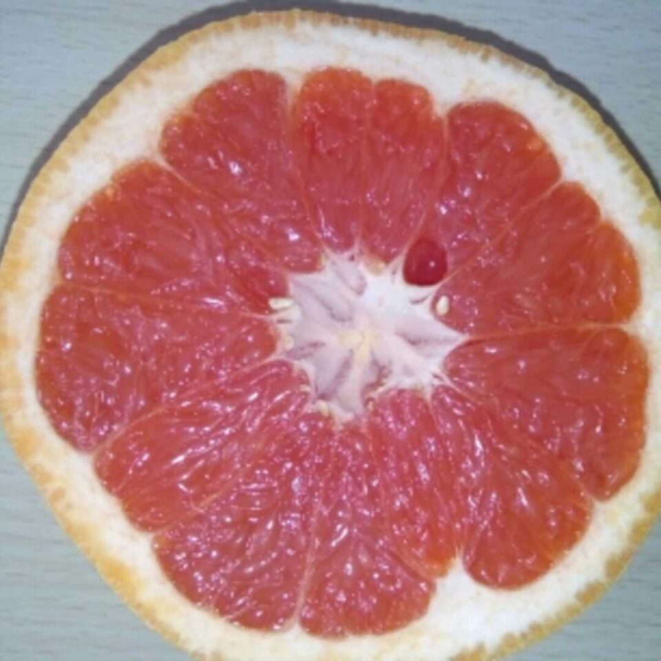 Calories du pamplemousse