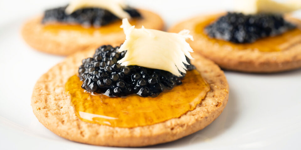 caviar et des œufs de lompe