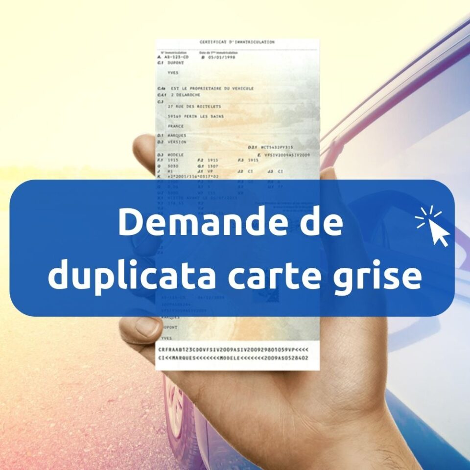carte grise