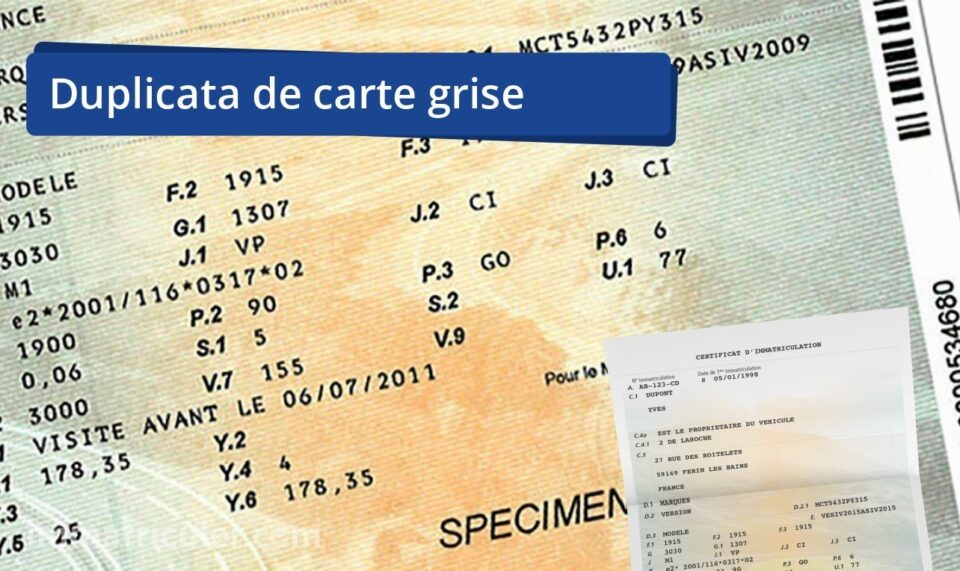 duplicata de carte grise