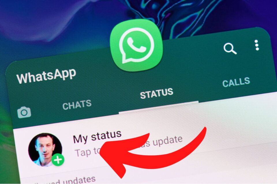 contact WhatsApp